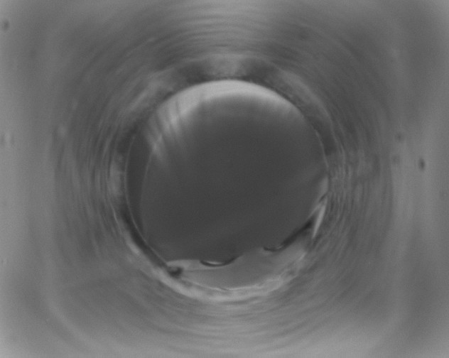 X0000065990035200603172151