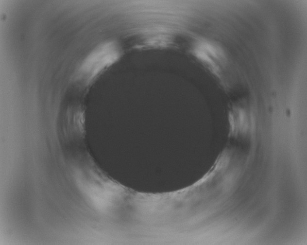 X0000065990045200603172151