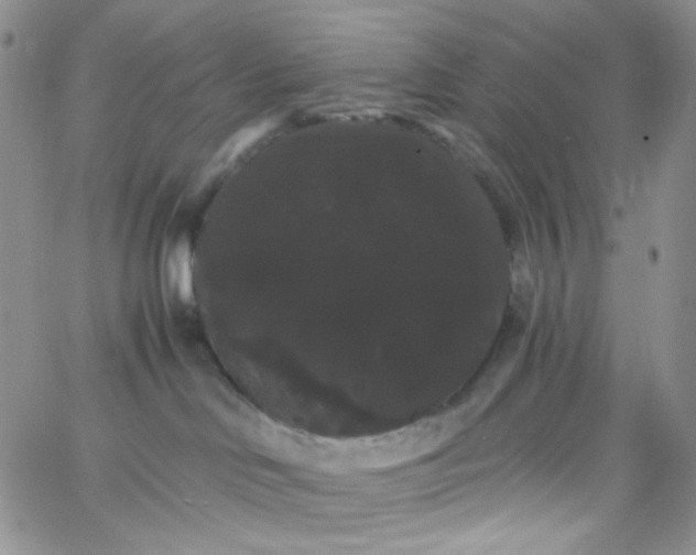 X0000065990046200603172151