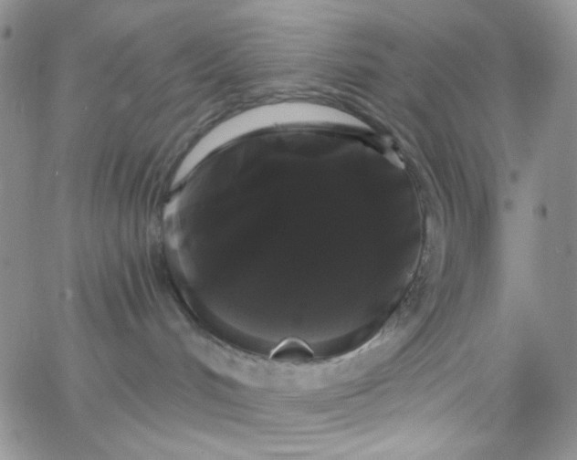 X0000065990048200603172151