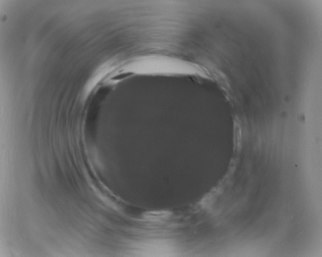X0000065990051200603172150