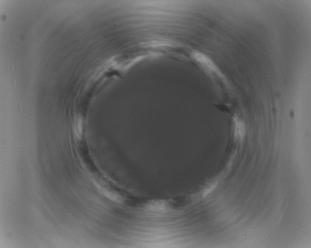 X0000065990076200603172151
