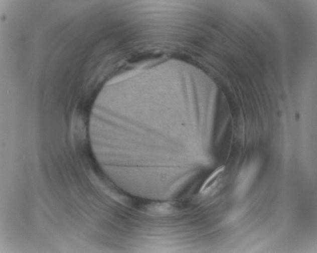 X0000065990086200603172151