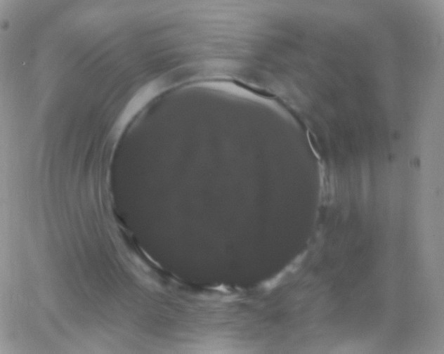X0000065990099200603172150