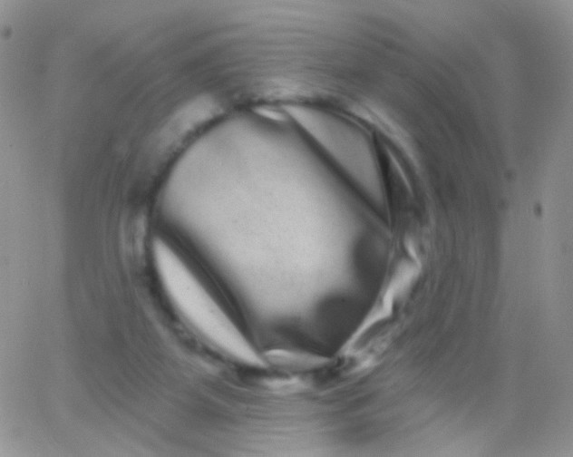 X0000065990115200603172150