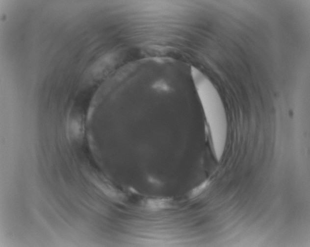 X0000065990134200603172150