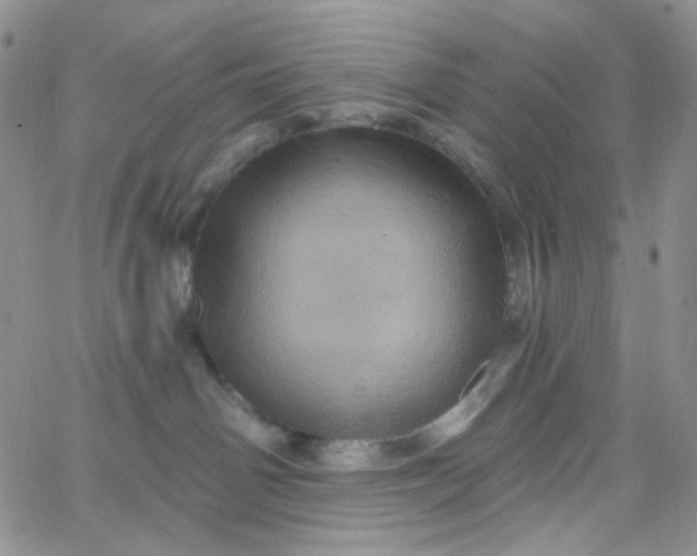 X0000065990142200603172149