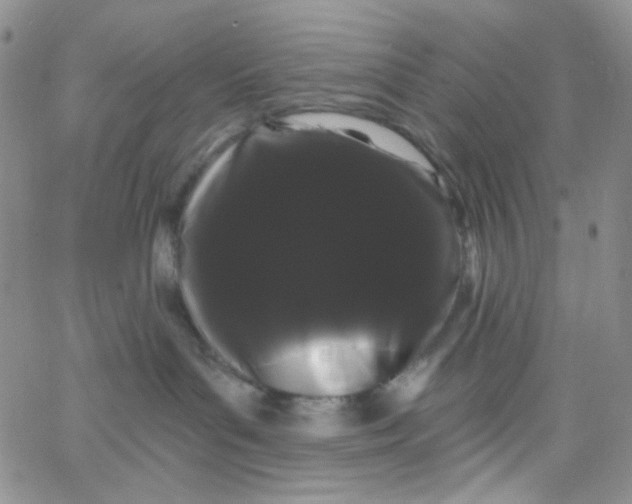 X0000065990143200603172149