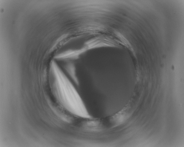 X0000065990163200603172149