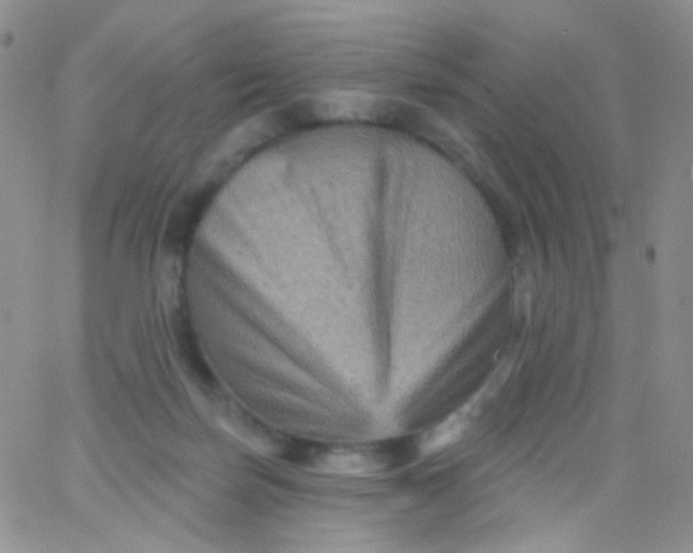 X0000065990171200603172149