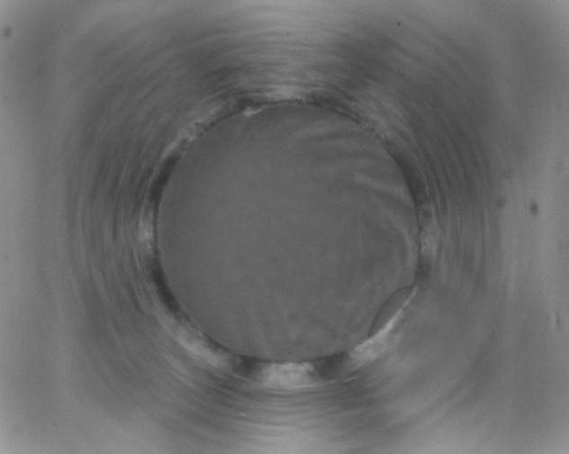 X0000065990179200603172149