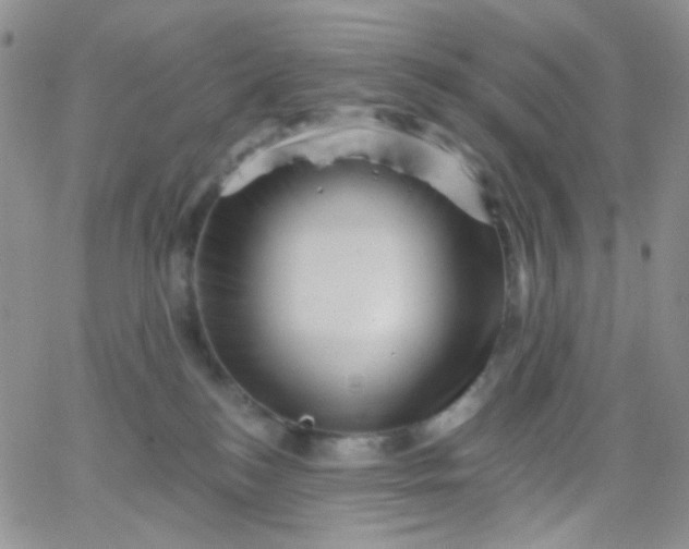 X0000065990184200603172149