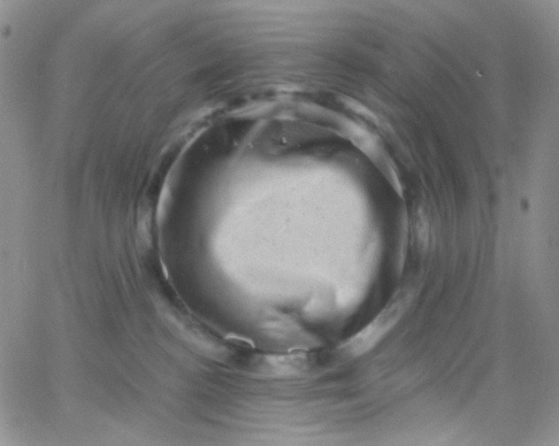 X0000065990188200603172149