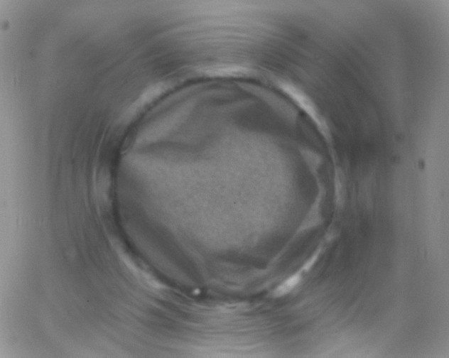 X0000065990201200603172149