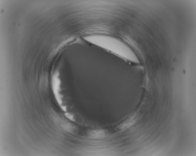X0000065990202200603172149