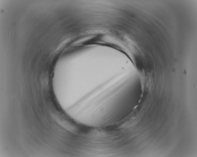 X0000065990207200603172148