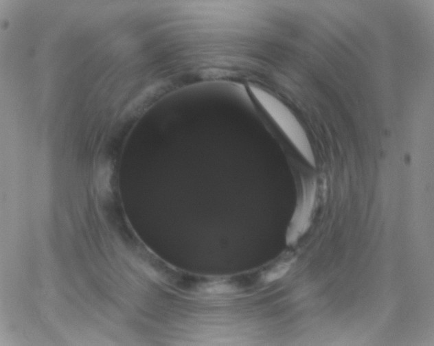 X0000065990219200603172148