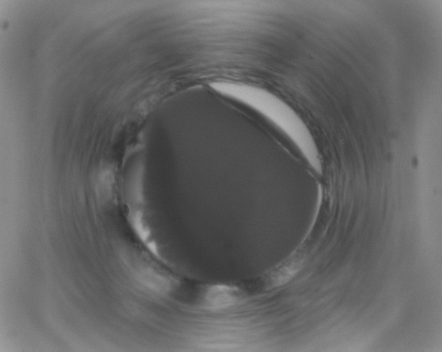 X0000065990222200603172148