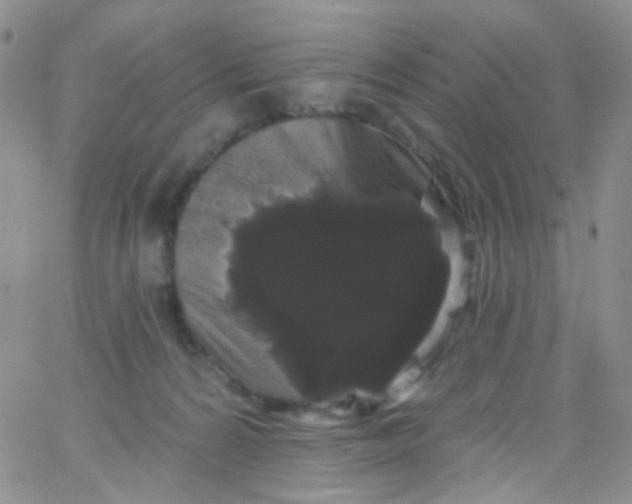X0000065990224200603172148