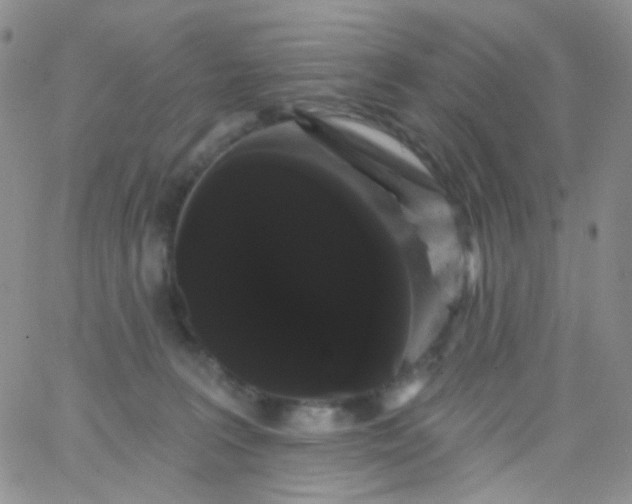 X0000065990227200603172148