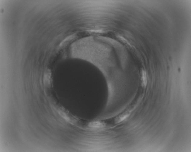 X0000065990231200603172148