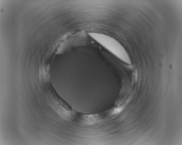 X0000065990239200603172148