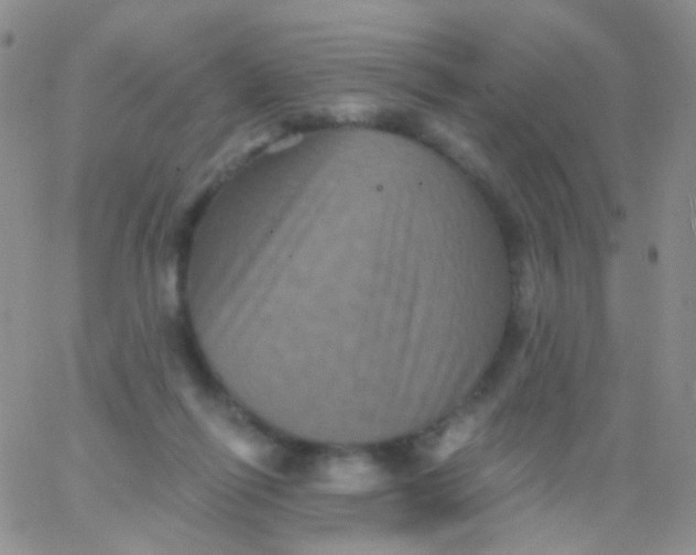 X0000065990262200603172147