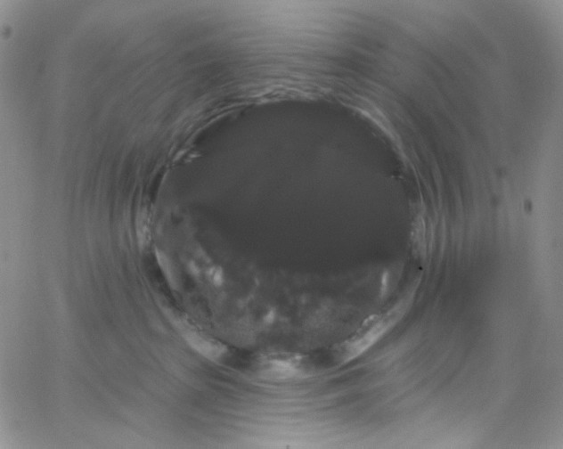X0000065990285200603172148