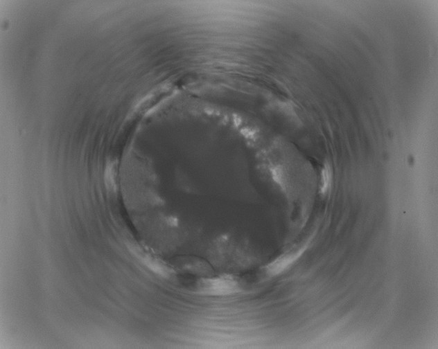 X0000065990286200603172148