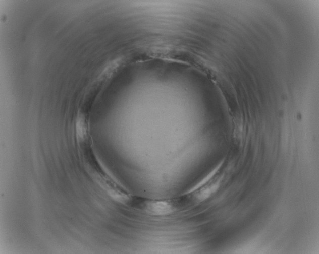 X0000065990287200603172148