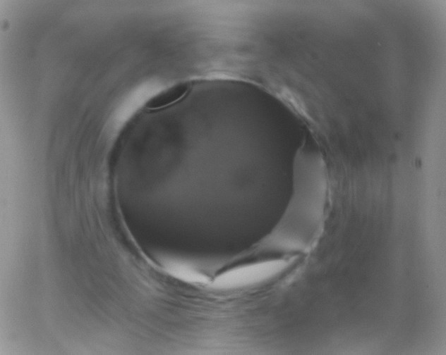 X0000065990295200603172147