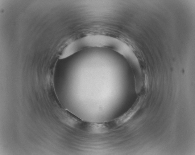 X0000065990333200603172146