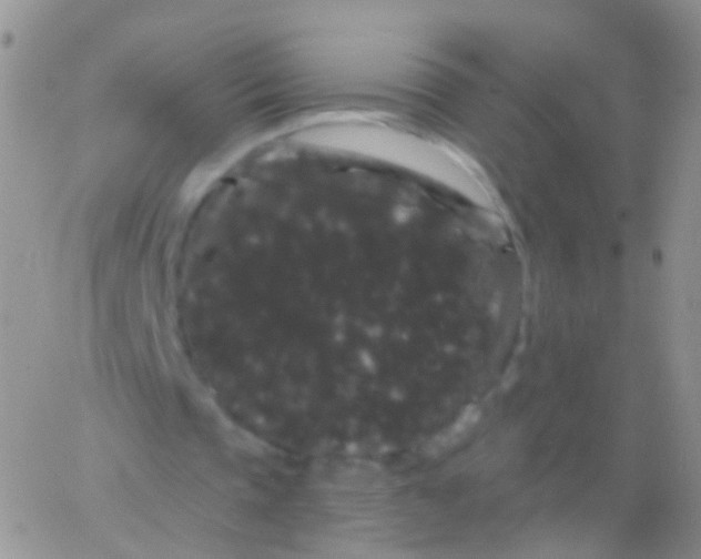 X0000065990337200603172146