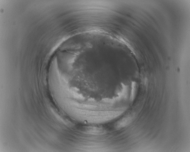 X0000065990347200603172146