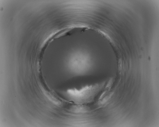 X0000065990351200603172146