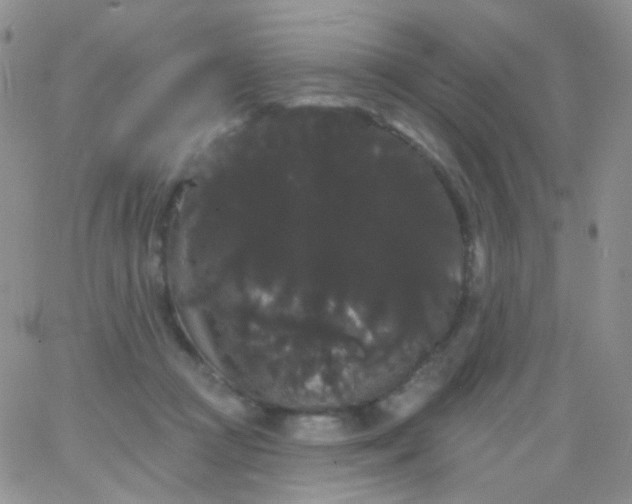 X0000065990361200603172146