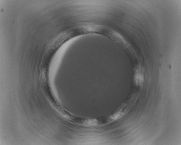 X0000065990410200603172145