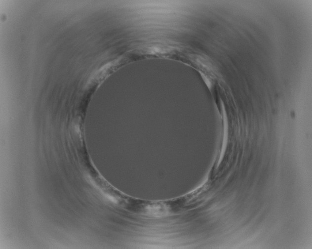 X0000065990415200603172145