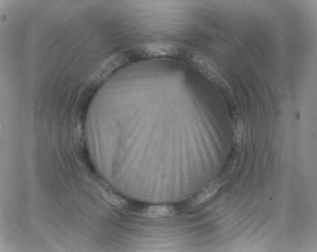 X0000065990418200603172145