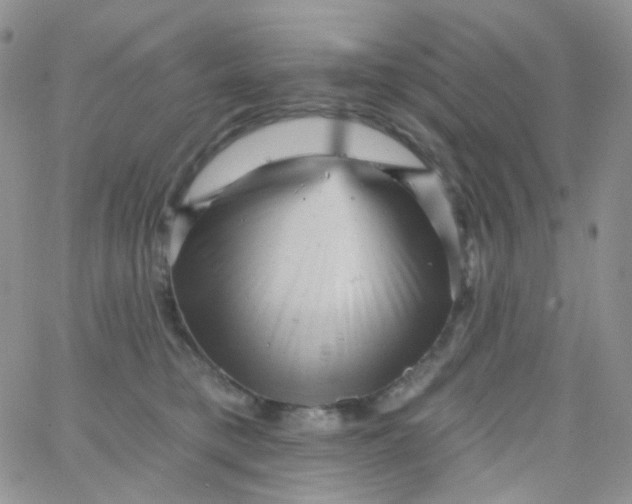 X0000065990421200603172145