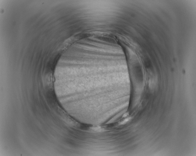 X0000065990425200603172145