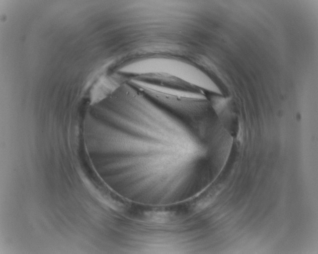 X0000065990448200603172144