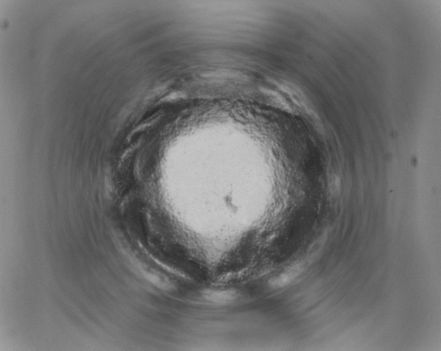 X0000065990457200603172144