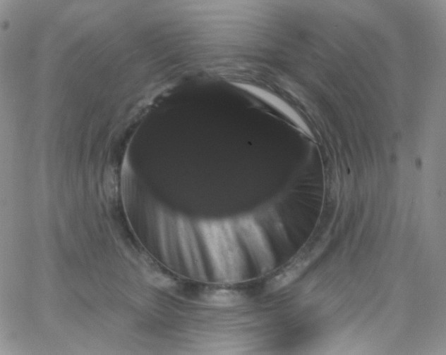 X0000065990467200603172145