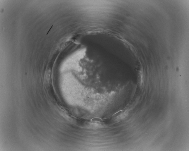 X0000065990475200603172145