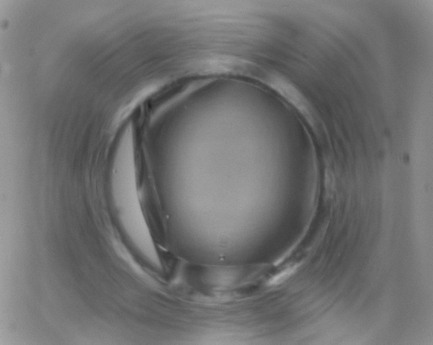 X0000065990485200603172144