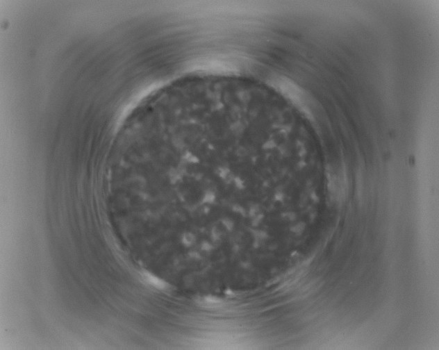 X0000065990487200603172144
