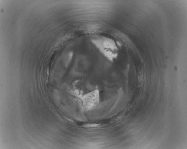 X0000065990503200603172144