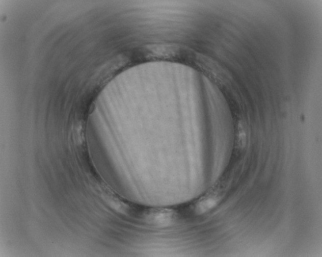 X0000065990514200603172143