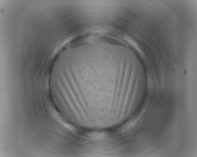 X0000065990537200603172143